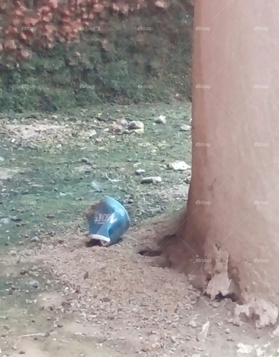 dust with ant home/tea cup/bad habit/not clean/