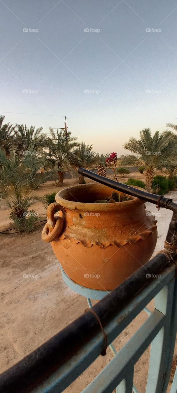 The amazing jar of roses