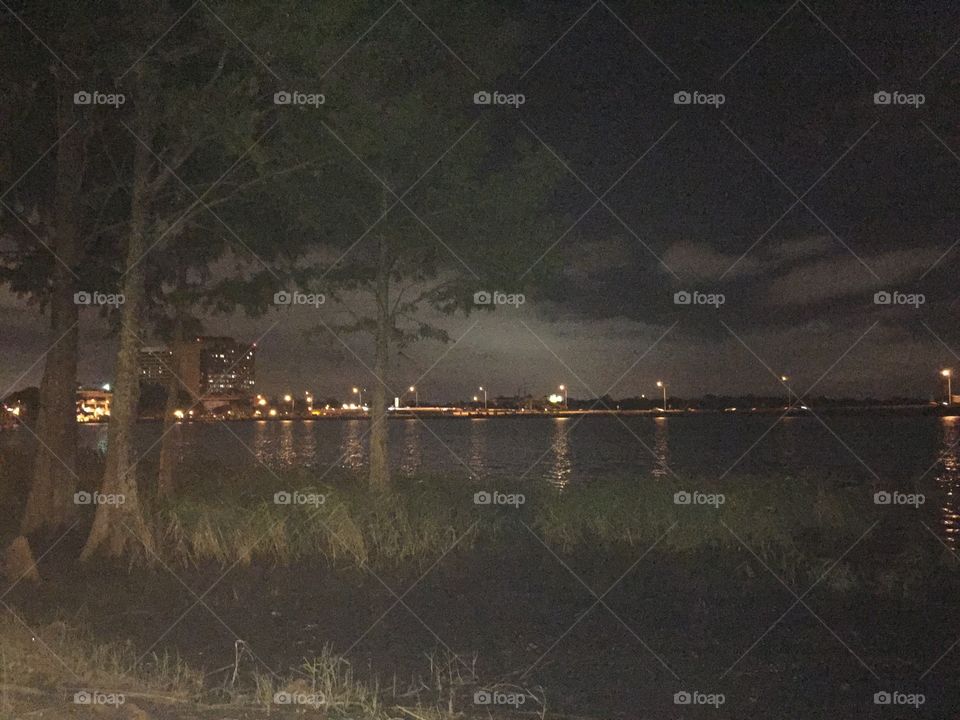 Water, Tree, Landscape, River, Lake