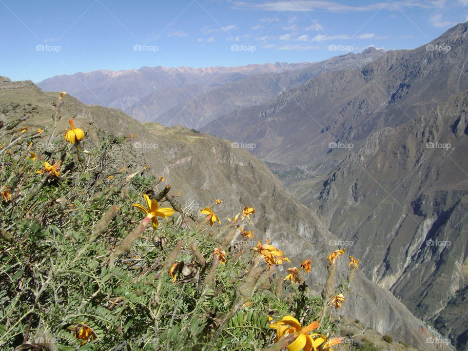 range flower cliff peak by idanos