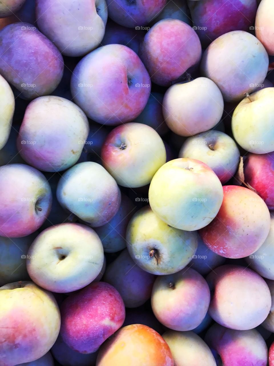 Apples at the farmers market