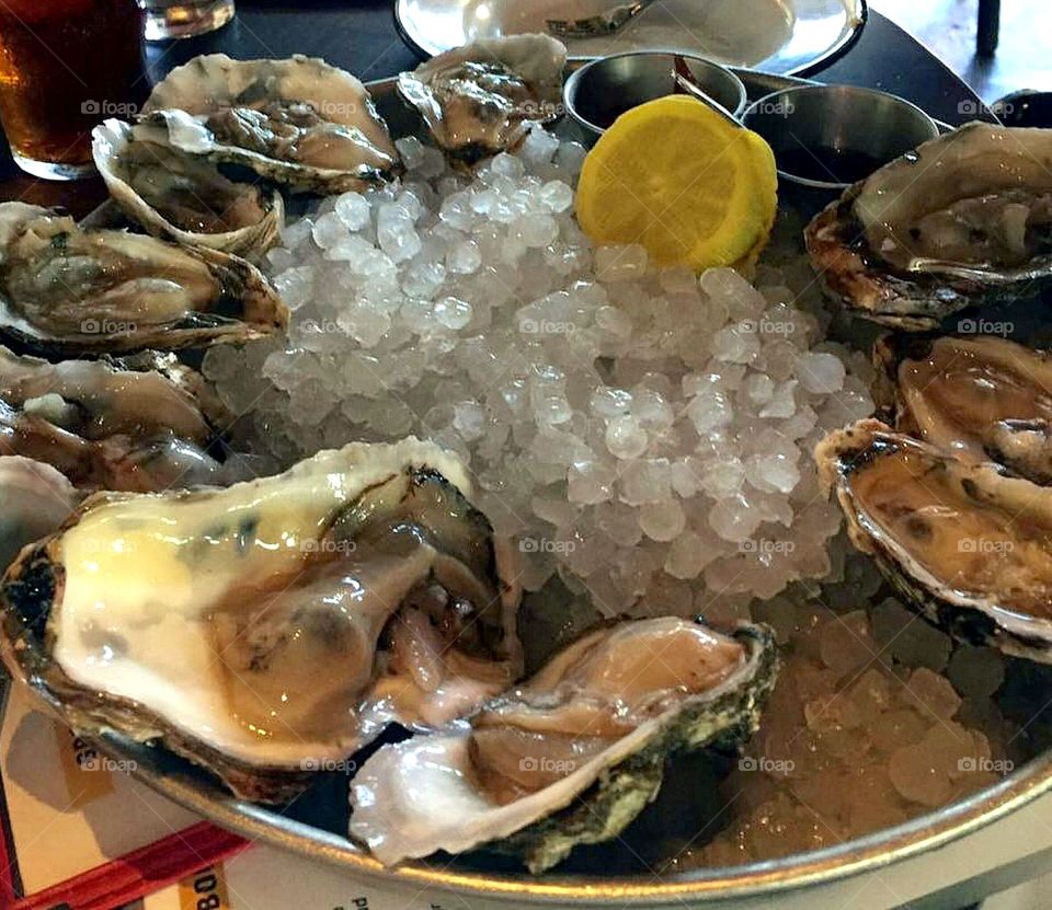 Oysters on the half shell 