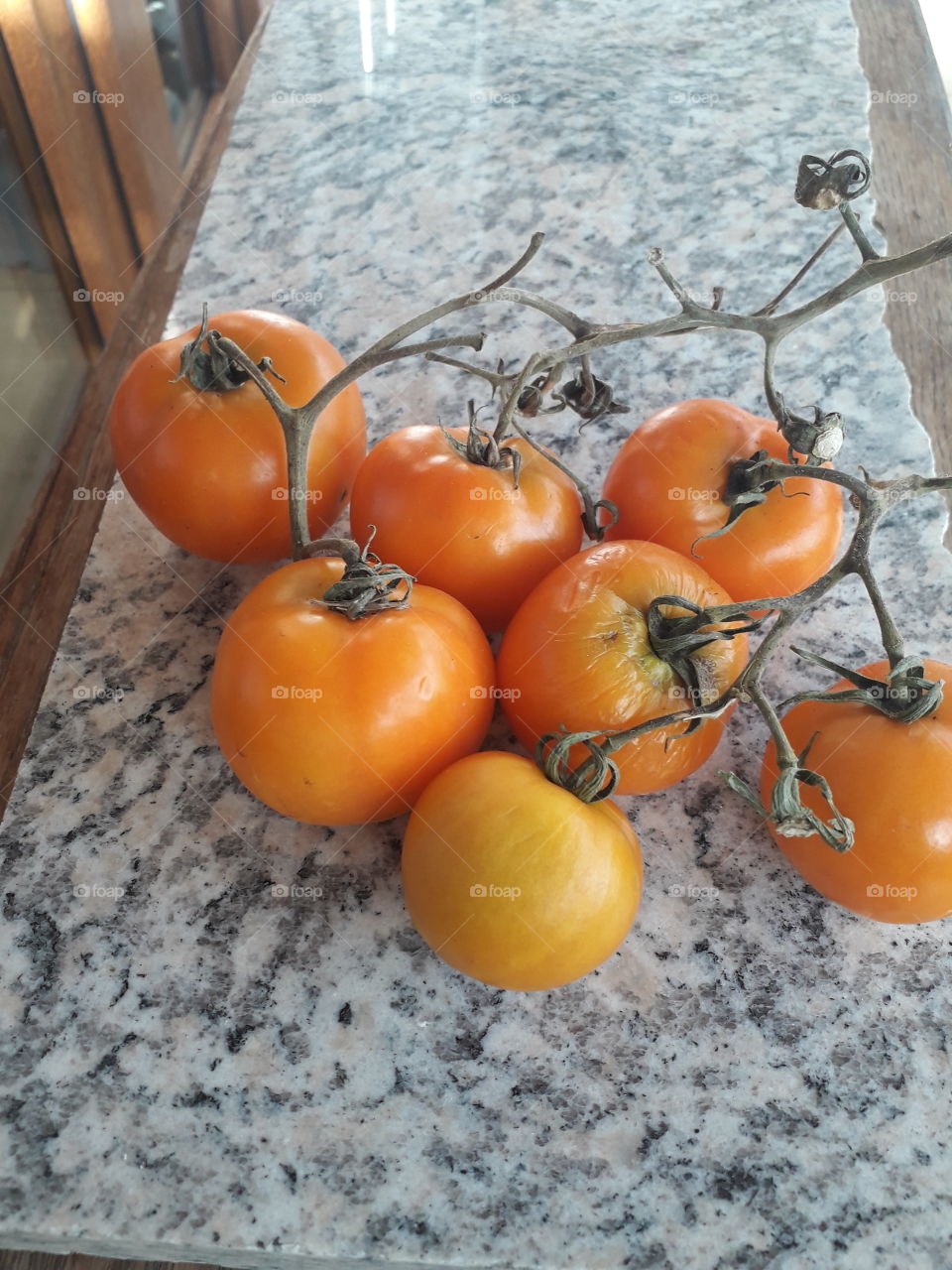 Orange tomatoes on a  stone