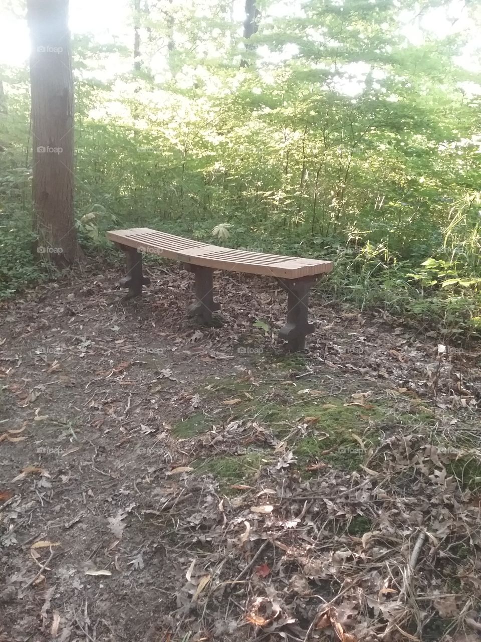 Lonely bench