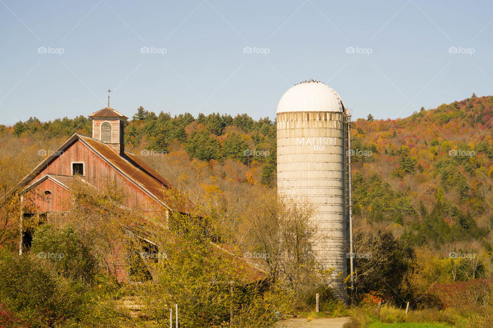New England Barn and Siko in the Fall