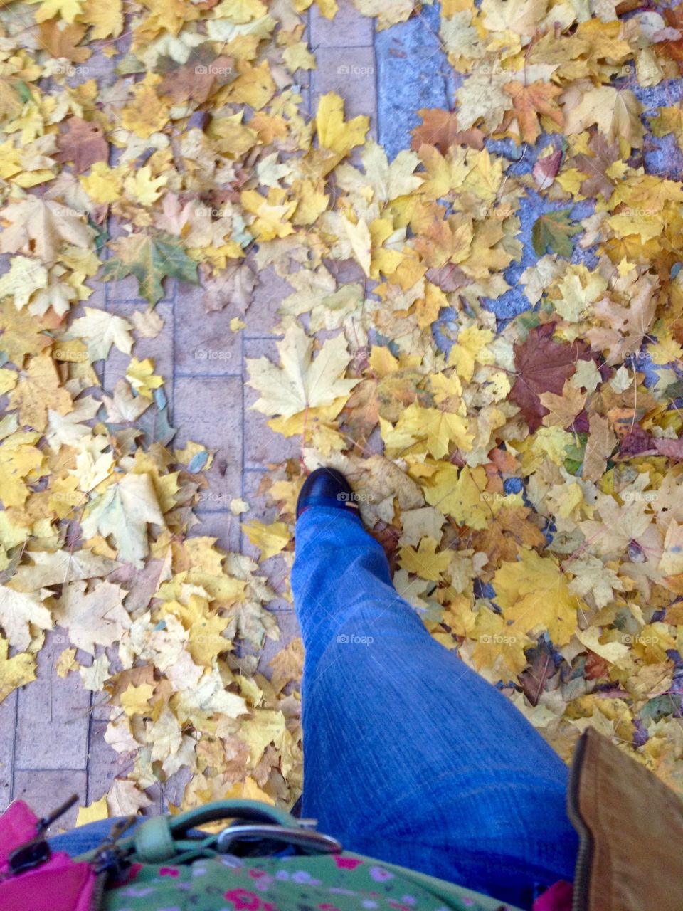 Walking on the bricks covered with autumn fallen leaves