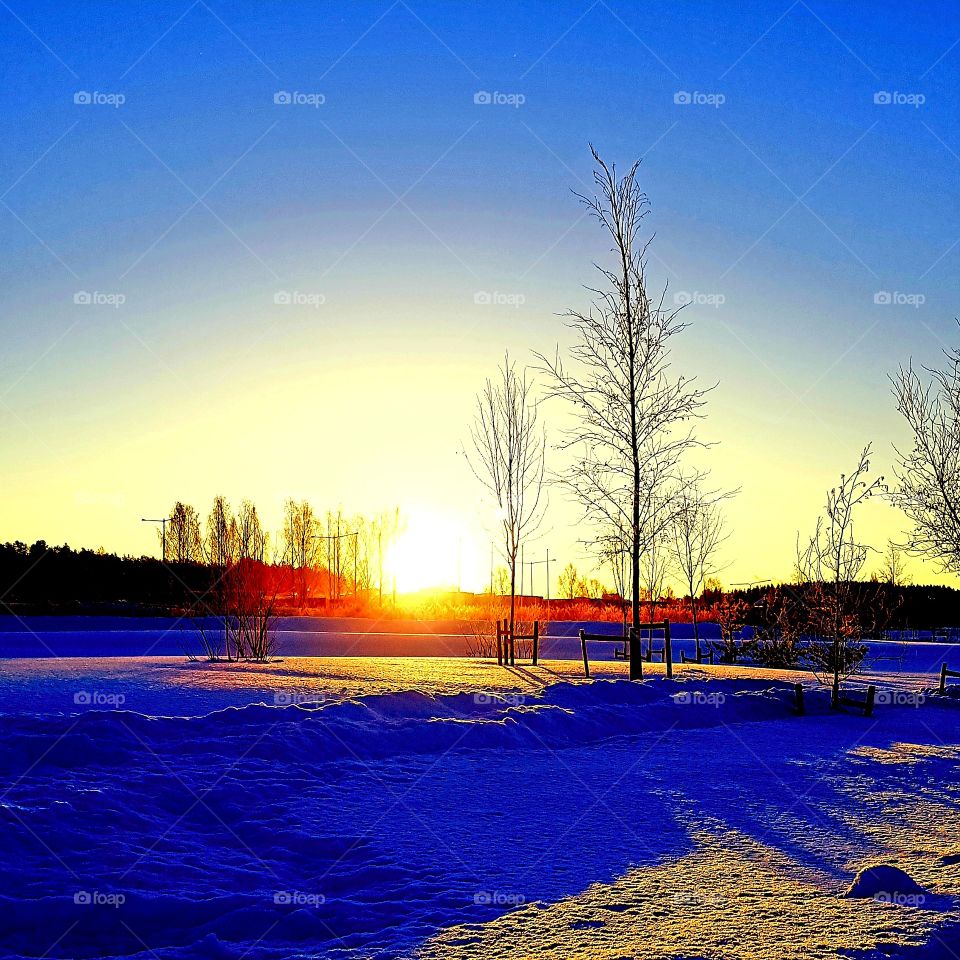 sunny morning in february