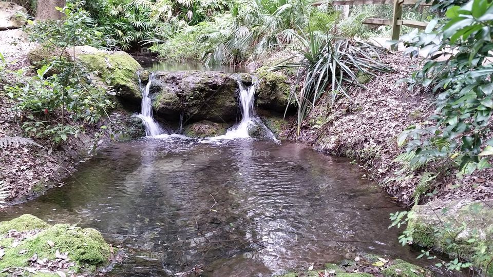 Rainbow spillover. A small spillover that's part of a larger waterfall system  at Rainbow Springs park in Dunnellon, Fl.