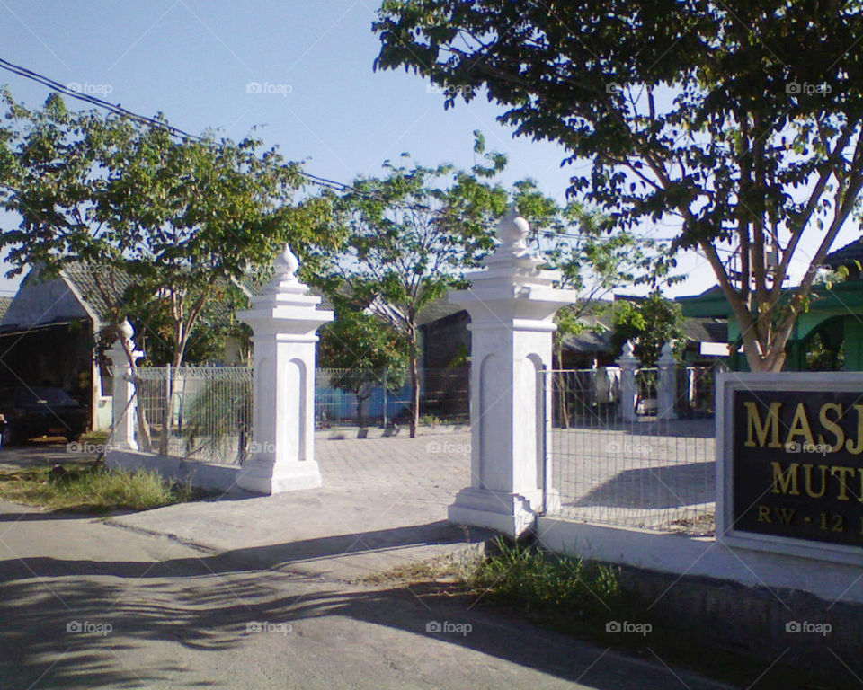 Architecture, Home, Entrance, Tree, Garden