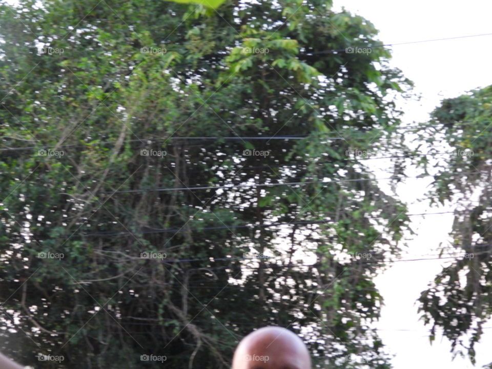 Sunset No model license 