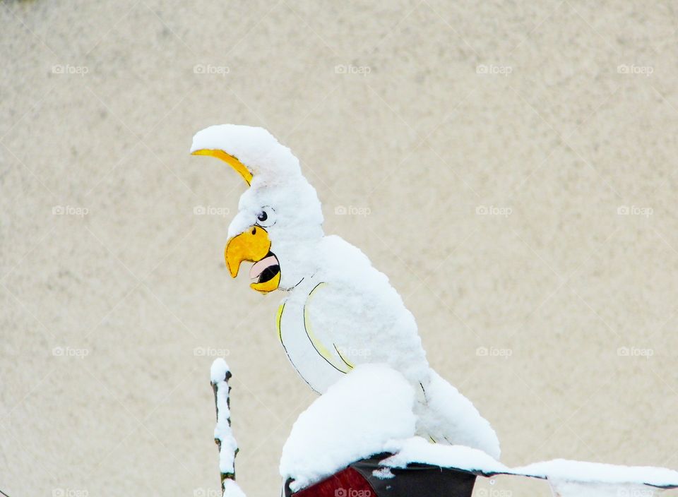 Bird made of wood in the garden and Snow White