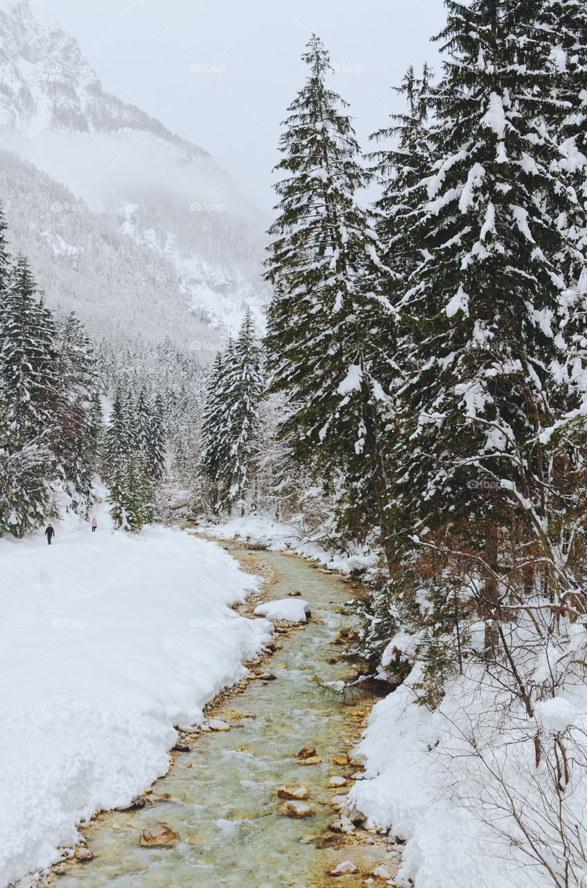 Scenic view of the winter landscape: green river against the snow covered mountains and foggy sky.