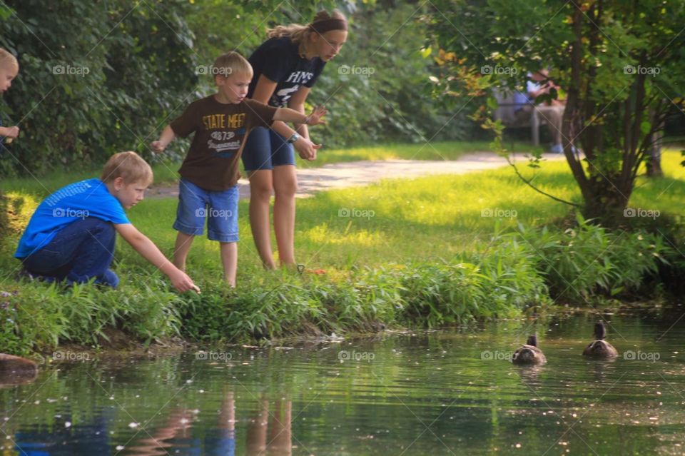 Feeding the Ducks