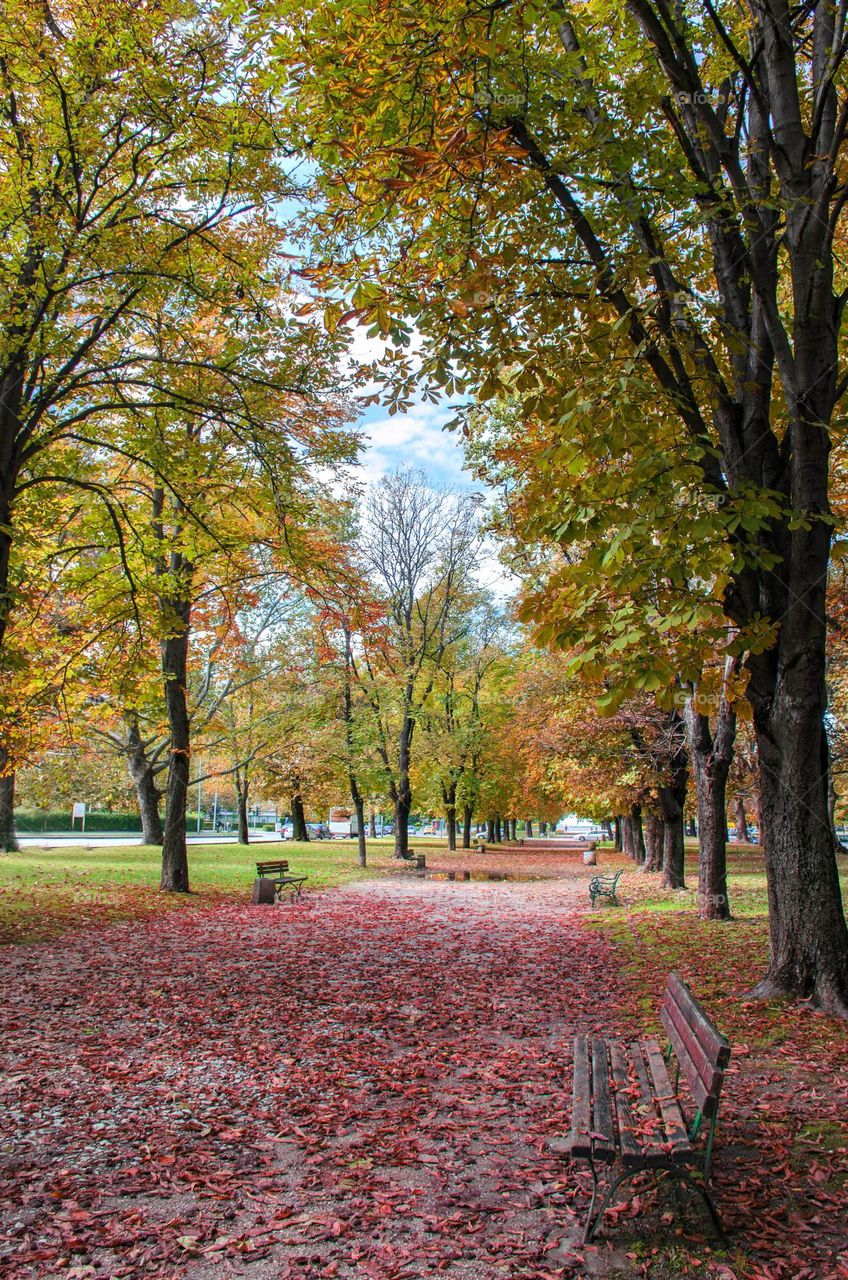 Autumn landscape