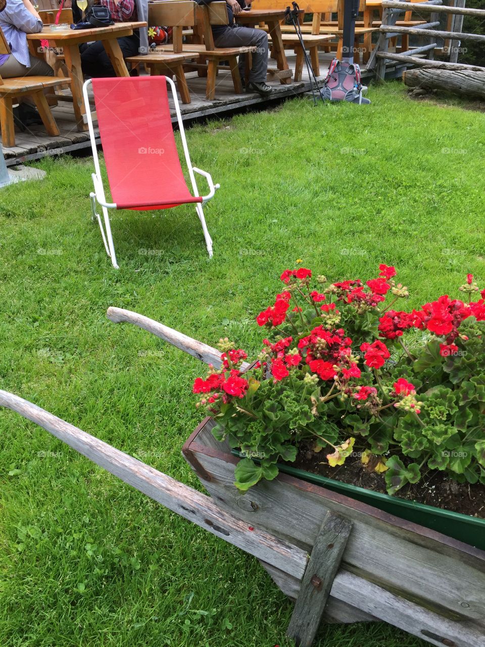 Red flowers, red chair, Green meadow