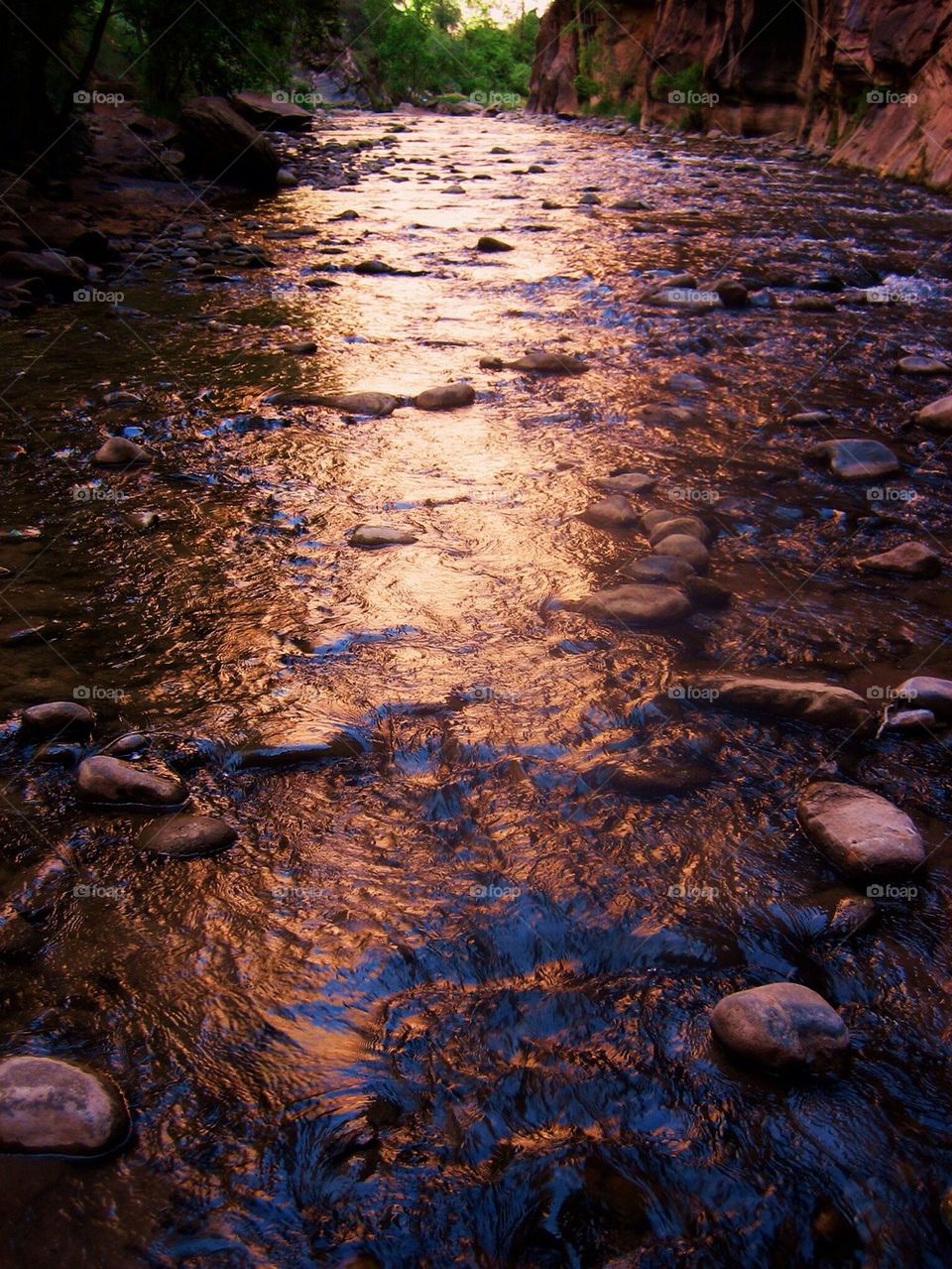 Bryce canyon river