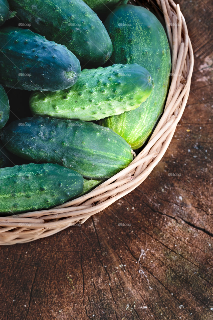 Cucumbers in the wicker basket. Cucumbers in the wicker basket