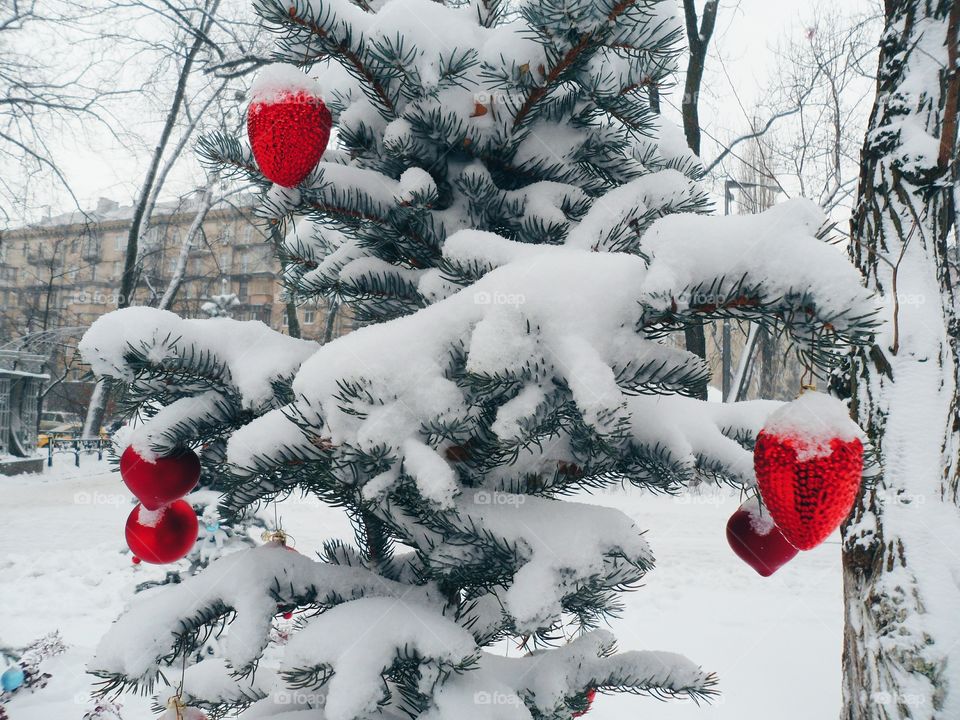 dressed Christmas tree toys in the park, Kiev