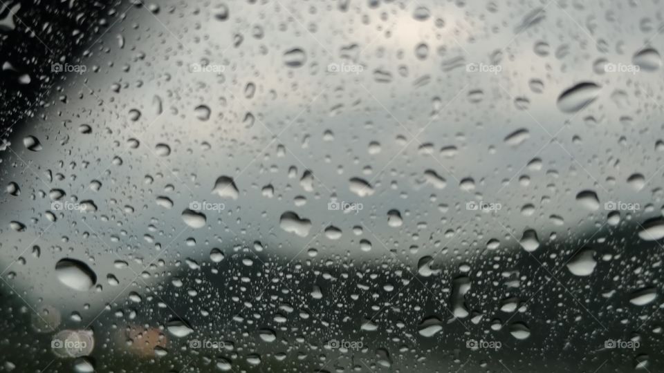 Rain, Wet, Drop, Droplet, Bubble