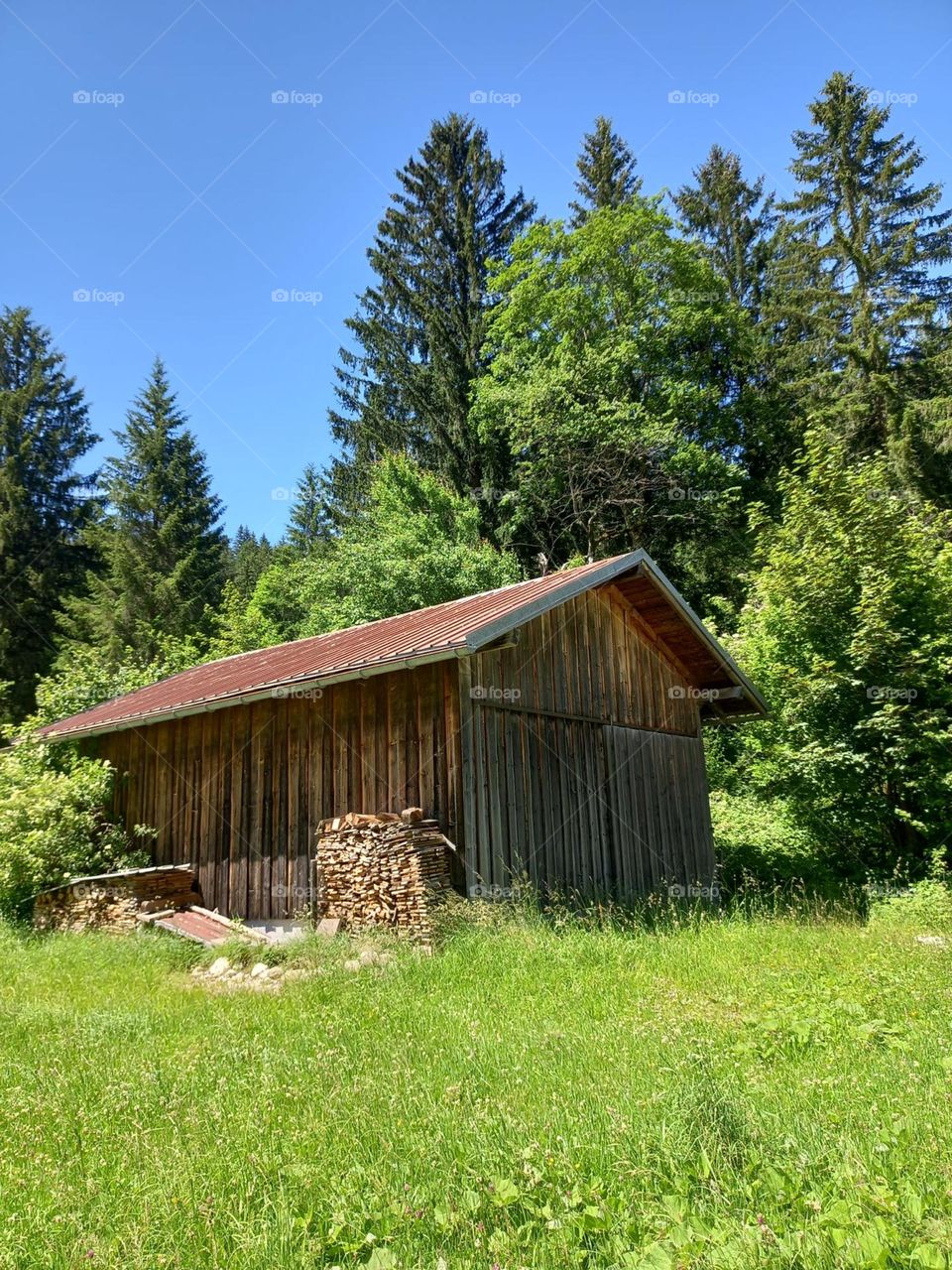 Forestry Hut on Bavarian Trail