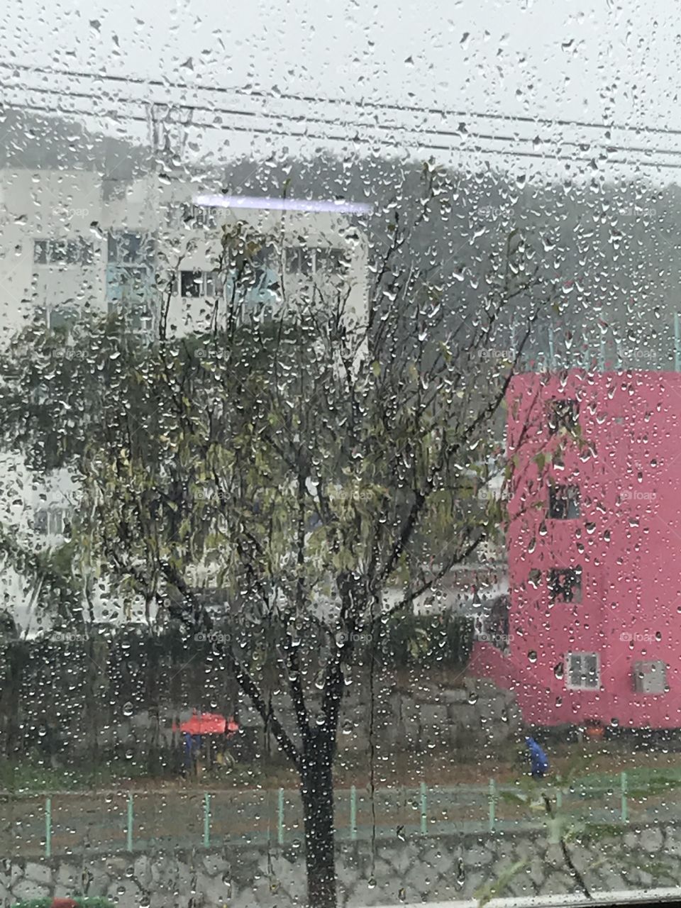 The tree people under the heavy rain doing some work for their little farm.