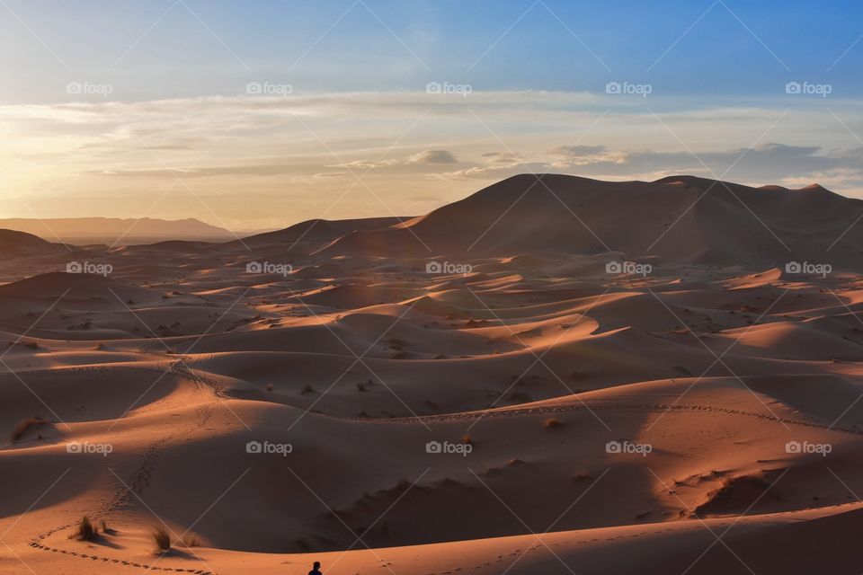 The Sahara 