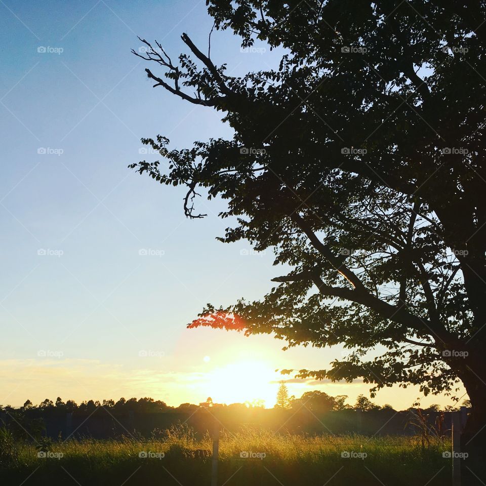 07h - Amanhecendo na divisa de #Jundiaí com #Itupeva
🌅
#sol
#sun
#sky
#céu
#photo
#nature
#manhã
#morning
#alvorada
#natureza
#horizonte
#fotografia
#paisagem
#inspiração
#amanhecer
#mobgraphia
#brazil_mobile
#FotografeiEmJundiaí