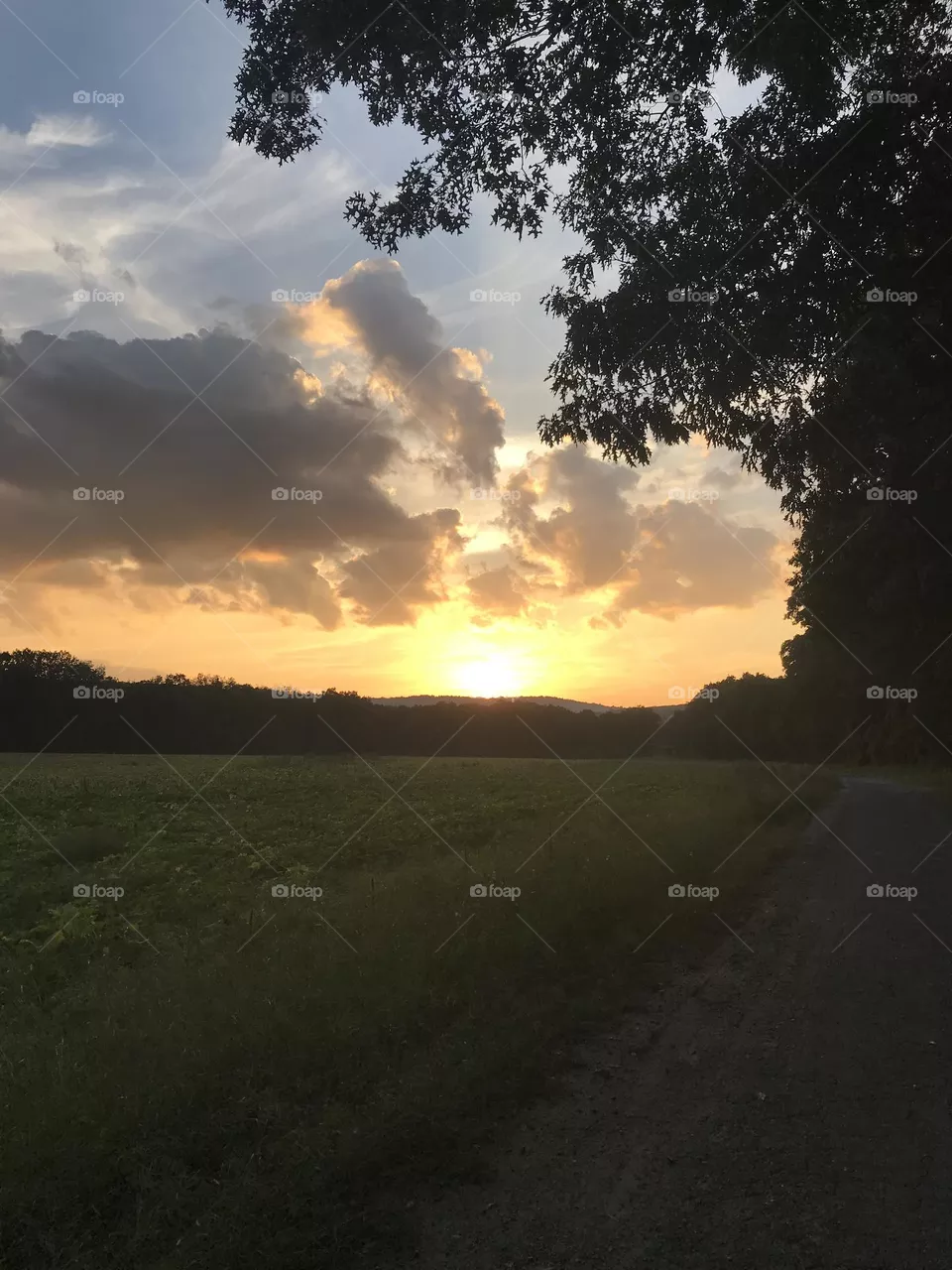 Sun setting 