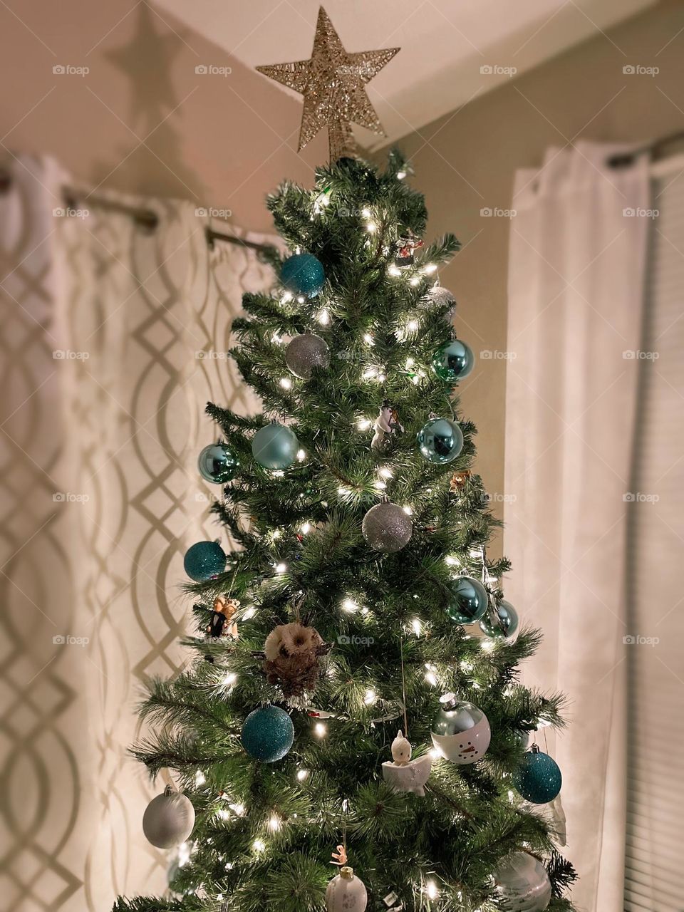 Christmas trees always brighten my spirit. A simple joy. 