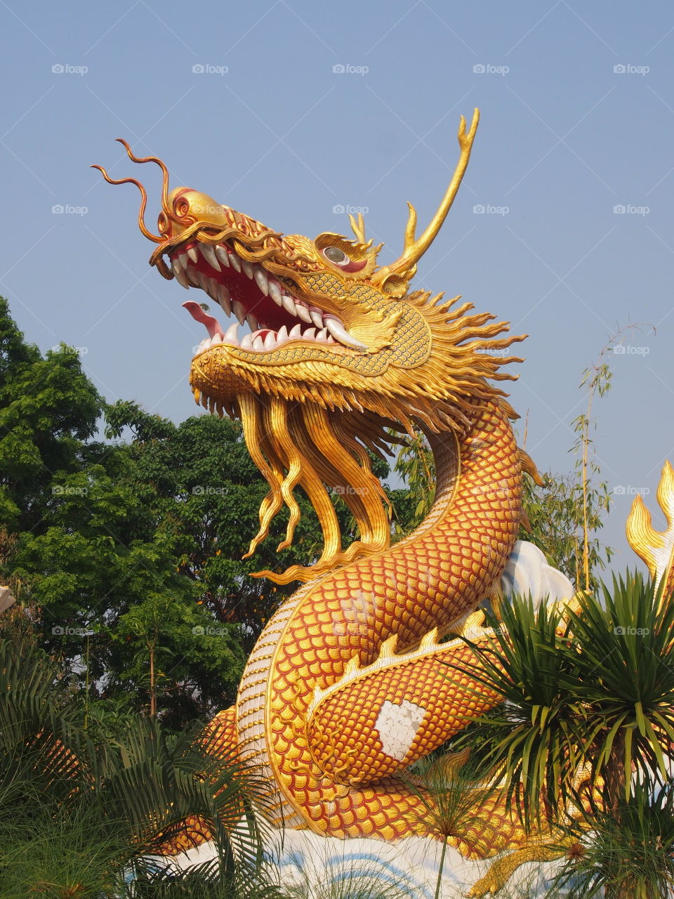 dragon in  Wat Tha Ton