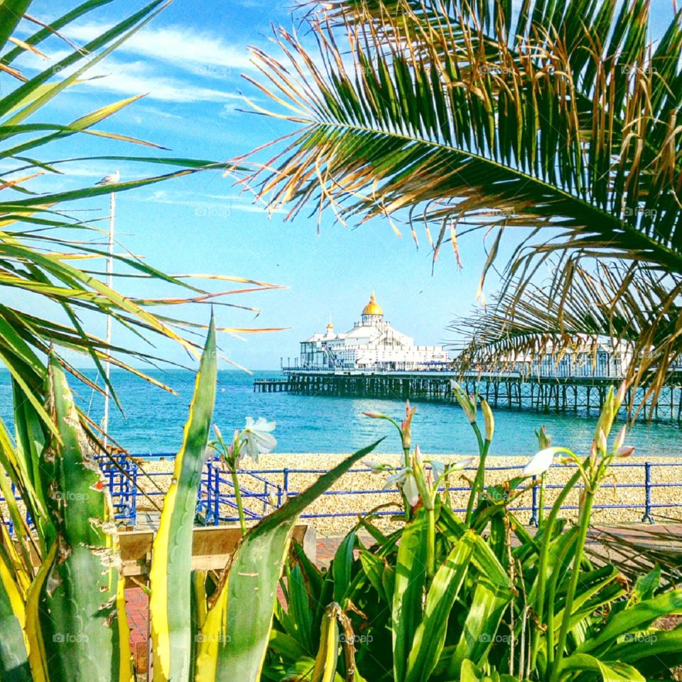 Sunny Eastbourne beach and pier