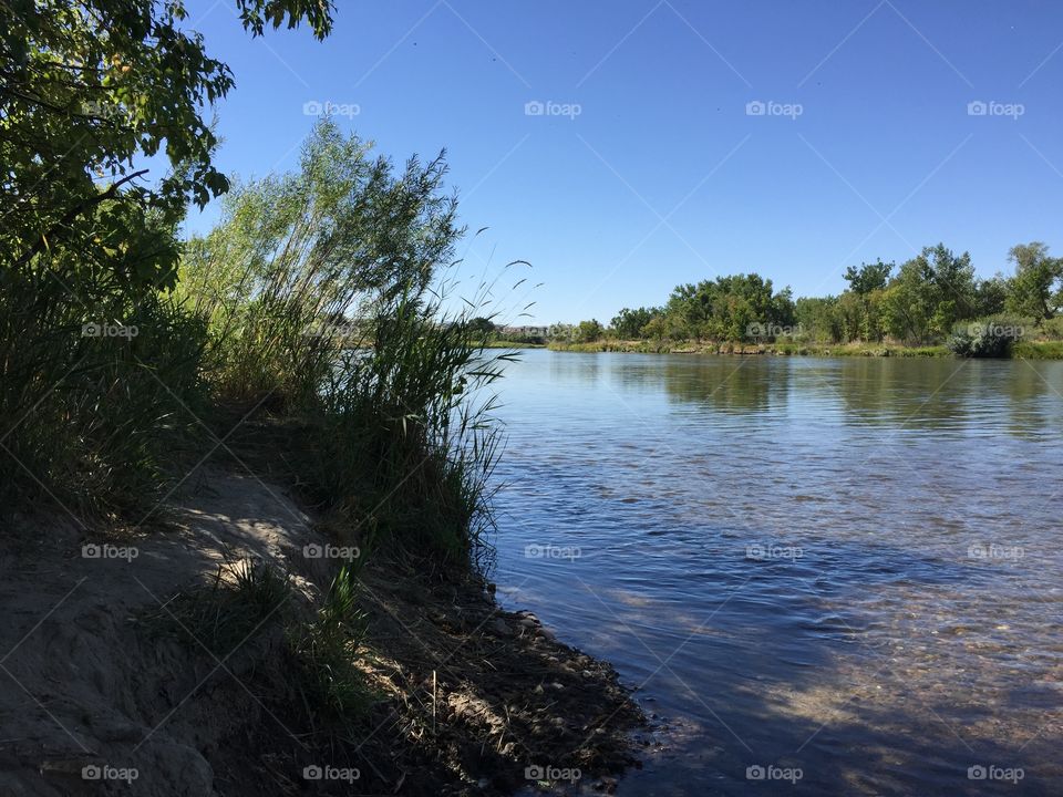 North Platte River View. An afternoon view along the bank of the North Platte River in Casper, Wyoming