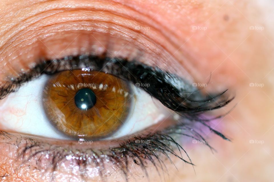 My main tool for photography, my eye
