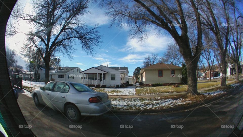 Tree, No Person, Home, House, Building