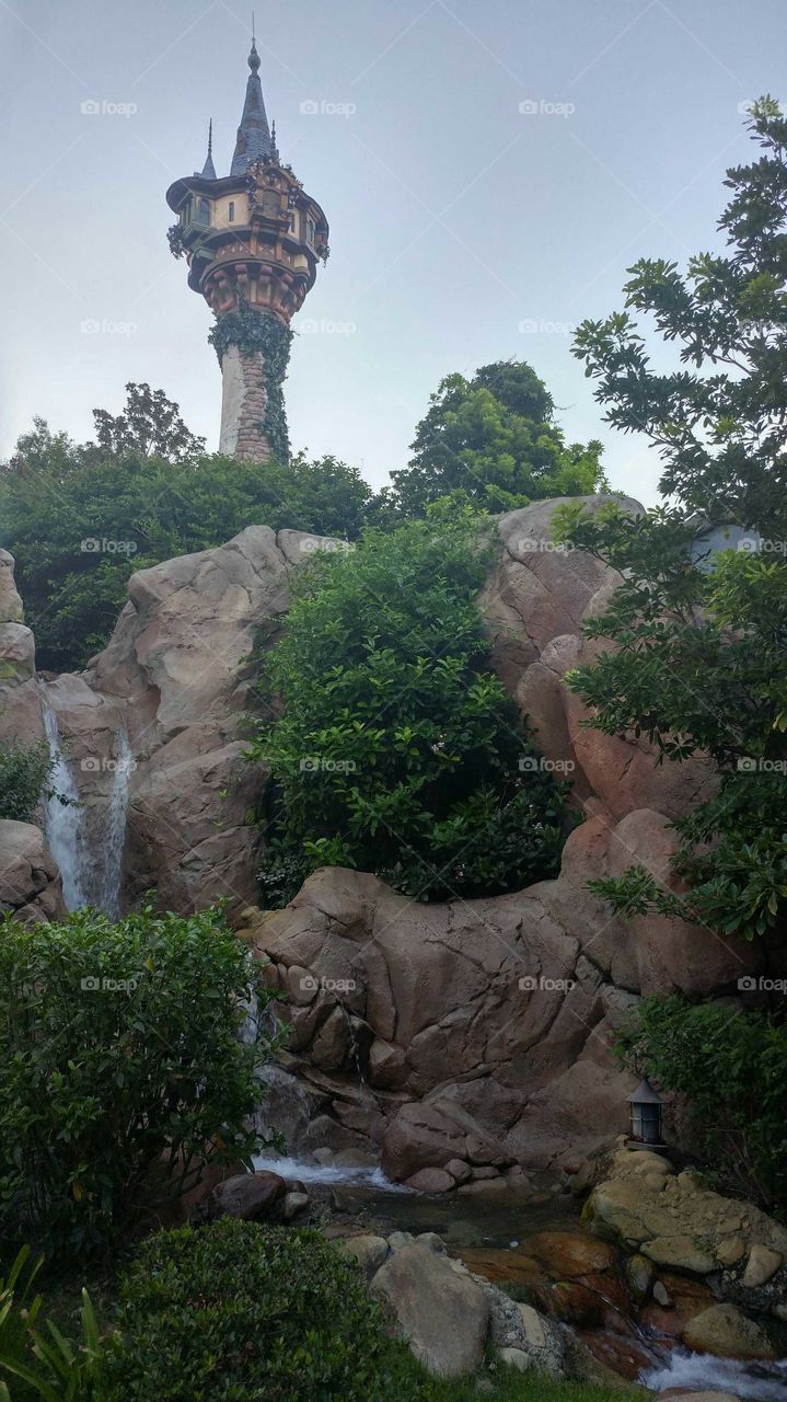Rapunzel tower at Magic kingdom