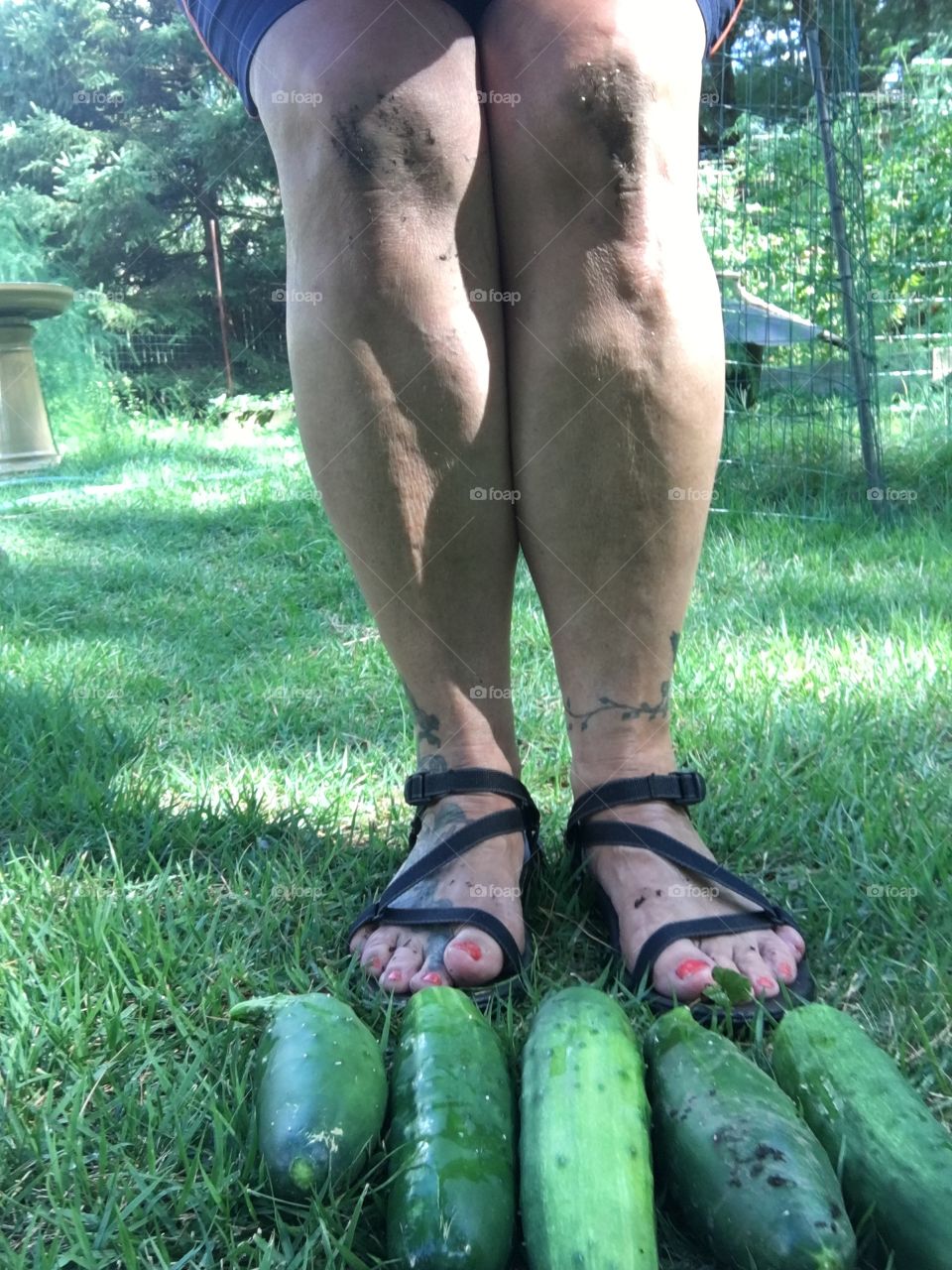A  selfie, standing with the pickings of the garden this day. What a hot, humid day it was, I'm dirty from gardening.