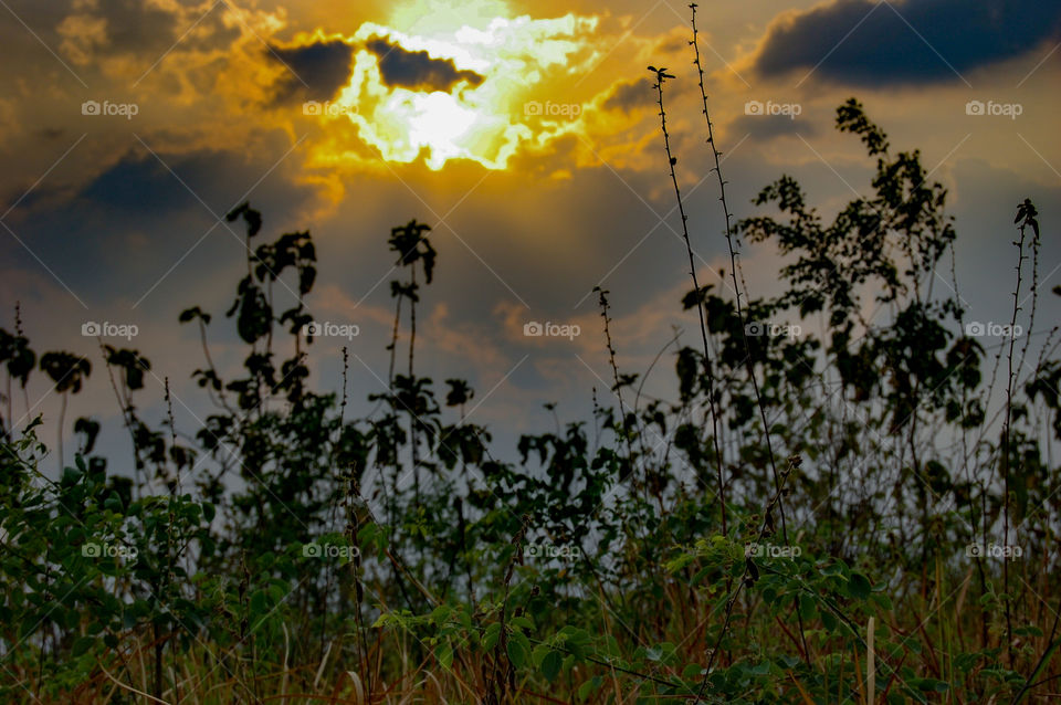 the golden treasure island real in the world