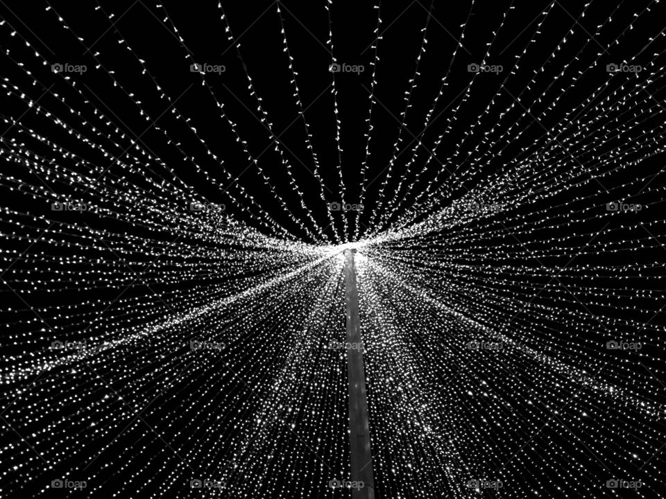 Christmas lights shining in the night