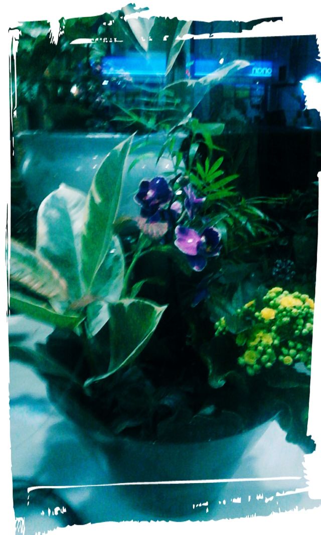 flowers