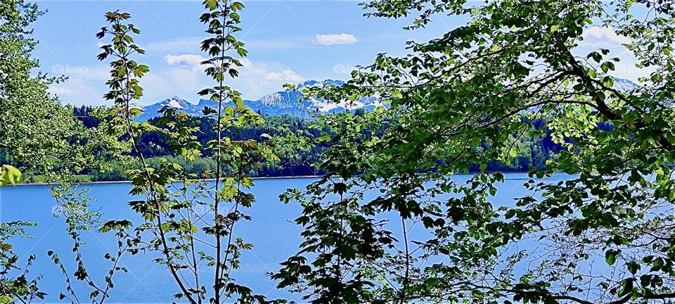 This is one of the lakes by „Bayerischzell“, a small township near the Alps in „Bavaria“, Germany. The glaciers behind the forested mountain range have their summits covered in ice and snow all year round. 2024. Hypnotic Productions