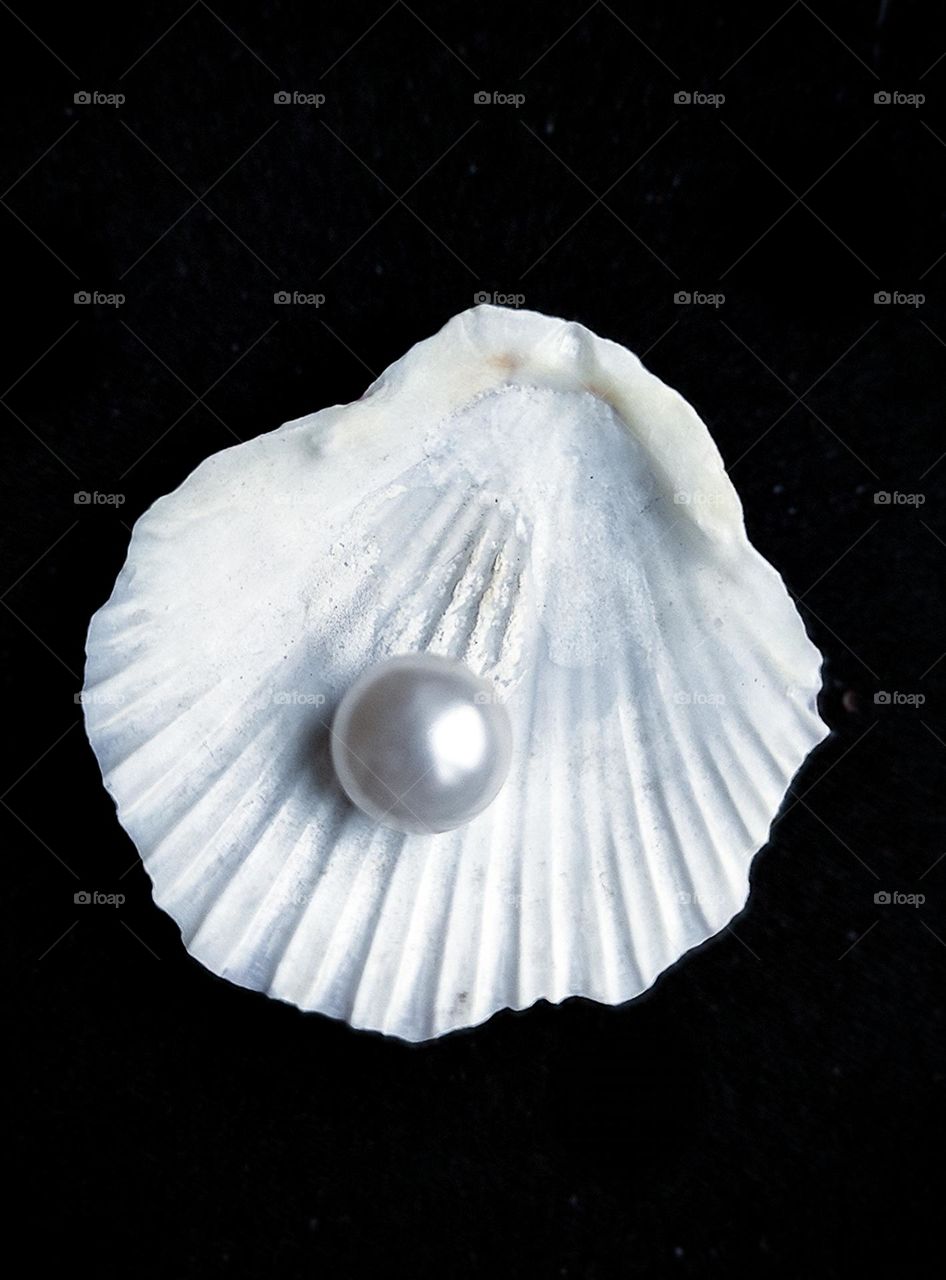 White colour.  On a black background lies a white seashell with a white pearl.  View from above