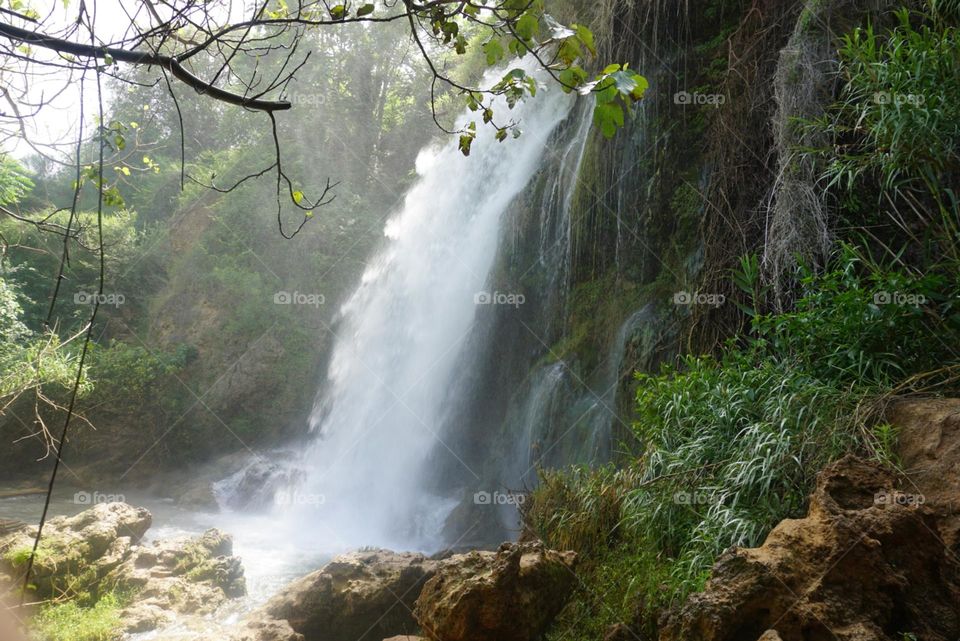 Waterfall#nature#greengrass