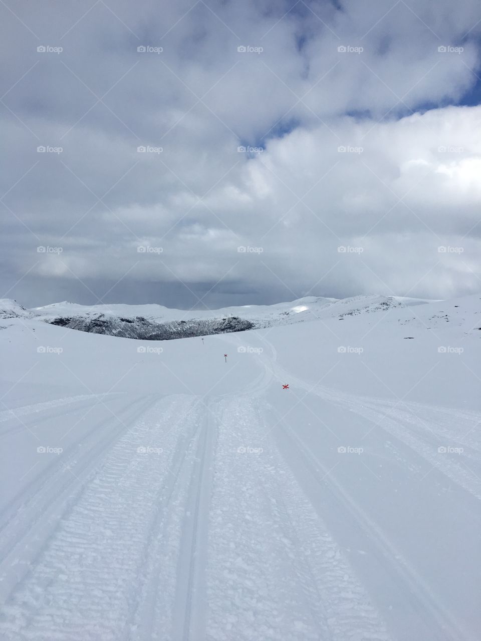 Winter in the mountain 