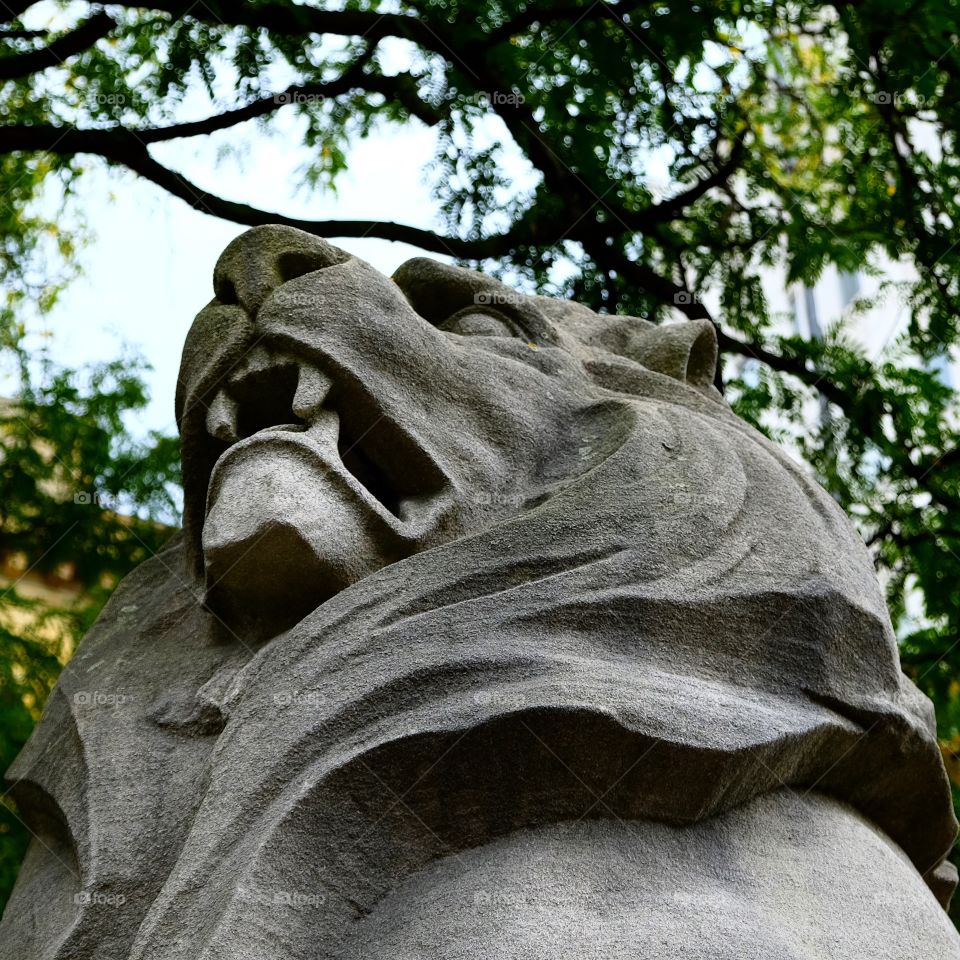 Sculpture, Nature, Statue, Tree, No Person