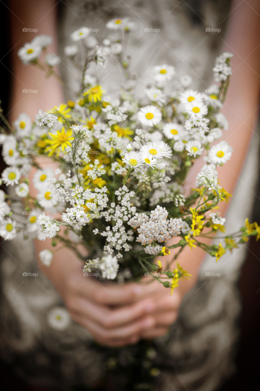 Countryside wild flowers in hands