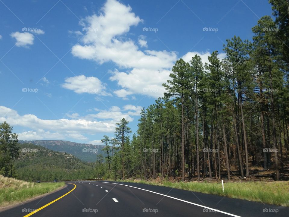 Open road through AZ Mountain highway