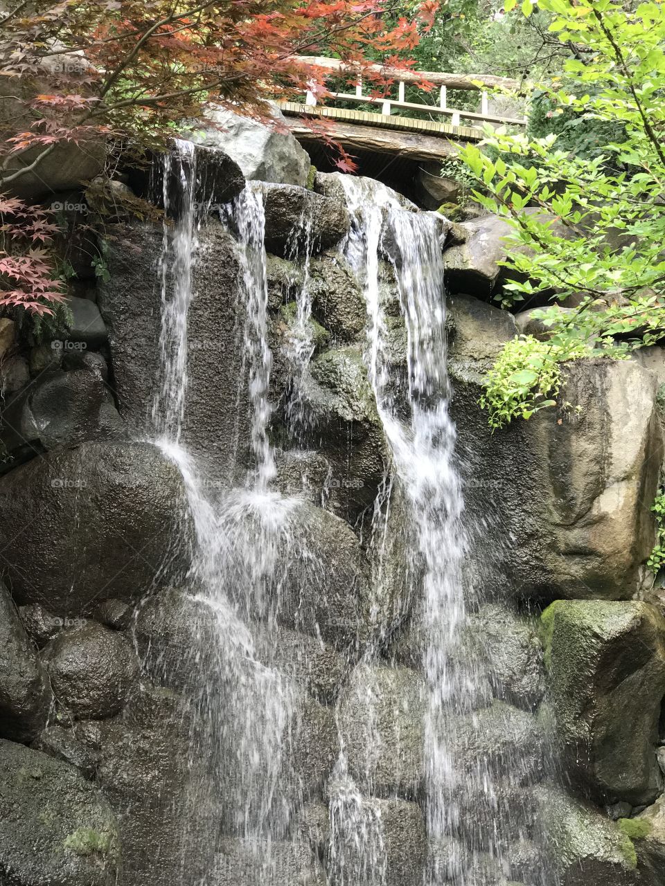 Waterfall garden
