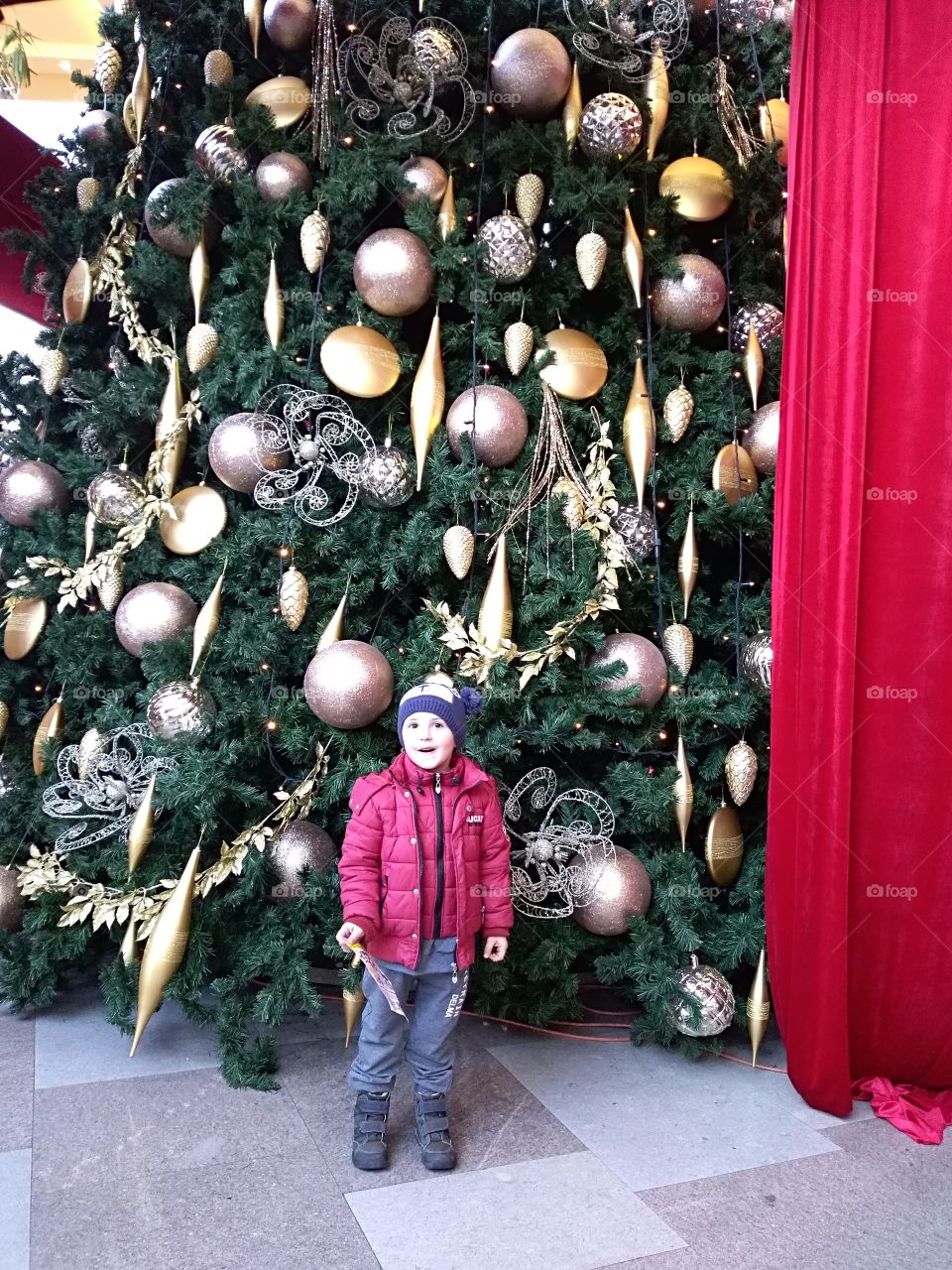 under the Christmas tree