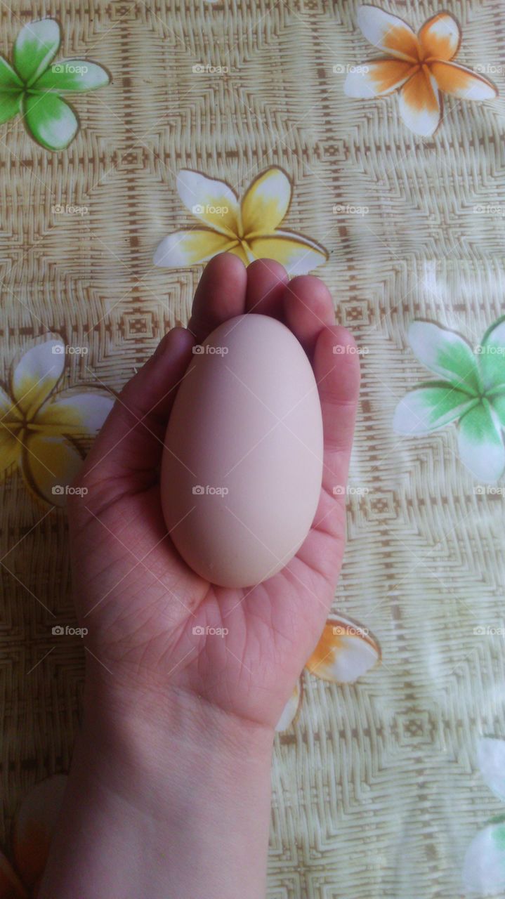 Oblong egg