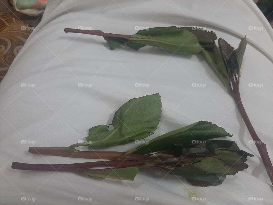 I need support I'm very poor